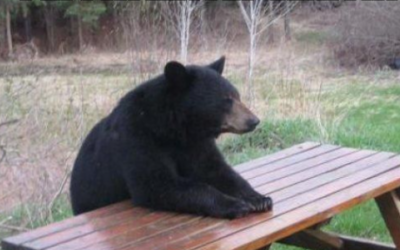 Why are you waiting for a furniture or mattress sale? Dreamers Outlet is ALWAYS up to 80% off every day!!